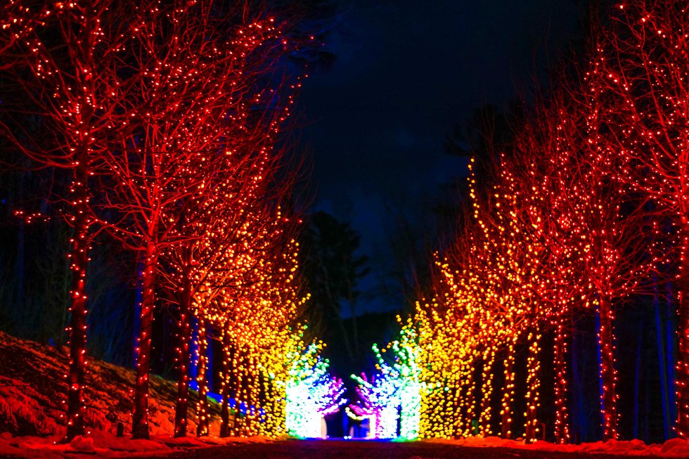 Winterlights Naumkeag Berkshires MA